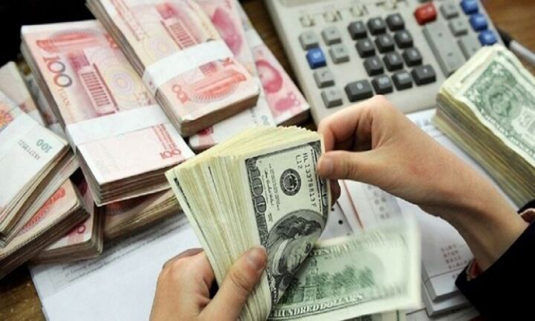معرفی نکات لازم در نقش حواله‌های ارزی در واردات بدانید